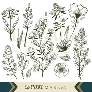 Pu&ograve; includere: Un set di 10 disegni in bianco e nero di vari fiori e piante. I disegni sono in uno stile semplice e minimalista e sarebbero perfetti per l'uso in una variet&agrave; di progetti creativi.