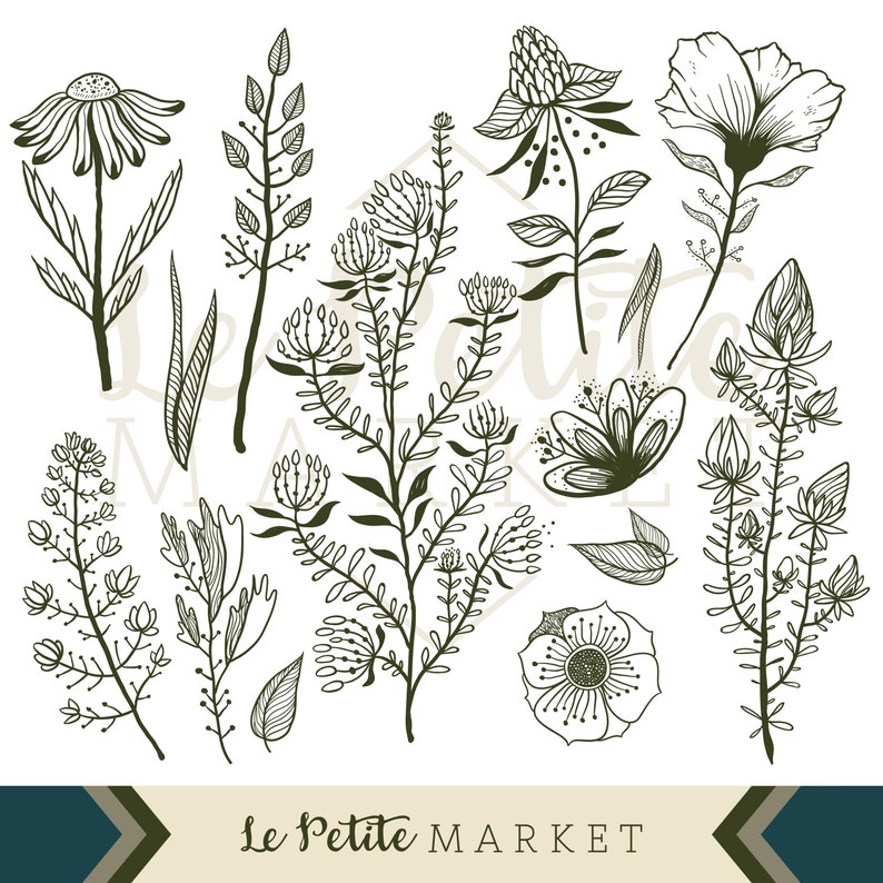 Pu&ograve; includere: Un set di 10 disegni in bianco e nero di vari fiori e piante. I disegni sono in uno stile semplice e minimalista e sarebbero perfetti per l'uso in una variet&agrave; di progetti creativi.