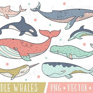 Cute Whale Clipart Set, Baby Whale Clipart, Cute Sea Life Clipart, Blue Whale Clipart, Dolphin Narwhal Beluga, Whale Vector Illustration