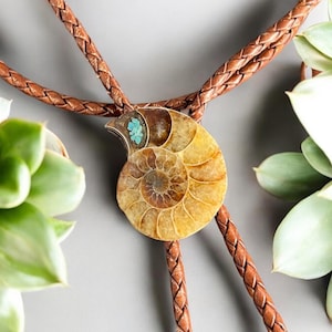 Turquoise Inlaid Ammonite Fossil Bolo Tie: Western Cowboy Lariat