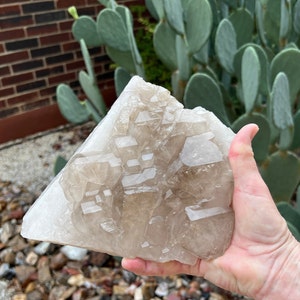 8&quot; Smoky Elestial Quartz Crystal Specimen: Jacare Lightbrary Crystal