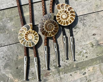Corbatas bolo con fósiles de amonites: Medianas, de 34 mm a 39 mm, estilo western.