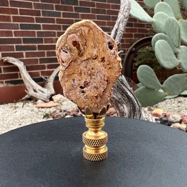 Unique Rustic Southwest Style Hand Polished Natural Petrified Wood Fossil Lamp Finial Finials, Brass Base - PW30
