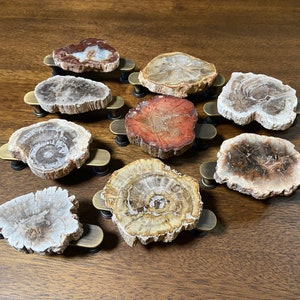 May include: Ten fossilized wood drawer pulls with brass hardware. The pulls are various shades of brown, beige, and red. The pulls are arranged in a semi-circle on a wooden surface.