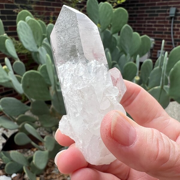 Old Soul Starbrary Quartz Crystal: Keyhole Contact, Glyphs - 3.2"