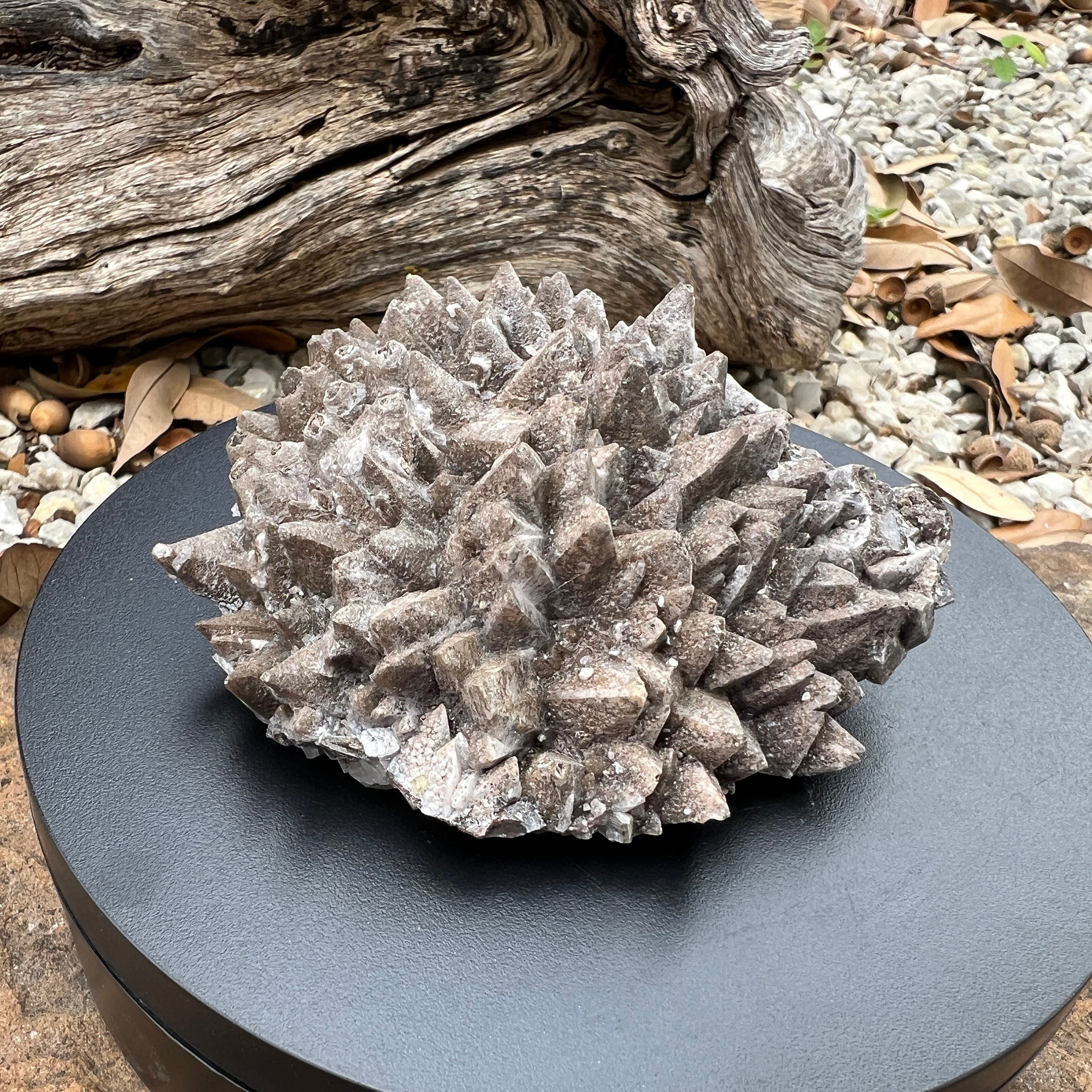 天然蛍光チョコレート ドッグトゥース カルサイト クラスター、蛍光