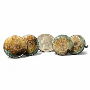 Gemelli con fossile di ammonite naturale e intarsio di turchese: montatura in acciaio inossidabile - regalo per geologi, collezionisti di rocce e fossili immagine 2