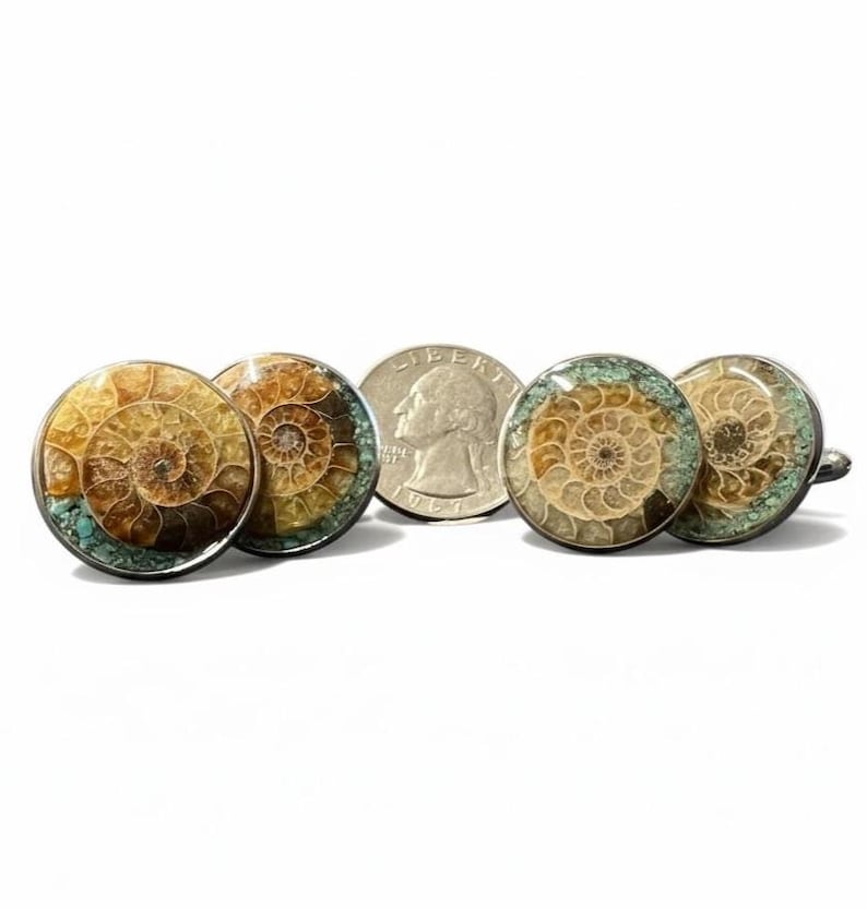 Gemelli con fossile di ammonite naturale e intarsio di turchese: montatura in acciaio inossidabile - regalo per geologi, collezionisti di rocce e fossili immagine 2