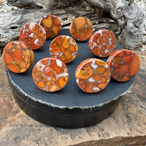 May include: A collection of eight circular cabinet knobs featuring a polished poppy jasper stone surface. Each knob displays a unique pattern of vibrant orange, deep red, and white circular inclusions embedded within a dark, earthy matrix.
