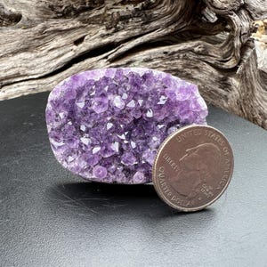 May include: A cluster of amethyst crystals in shades of purple, with a quarter coin for size comparison. The crystals have a sparkling, textured surface. The amethyst is on a black surface with a wood background.