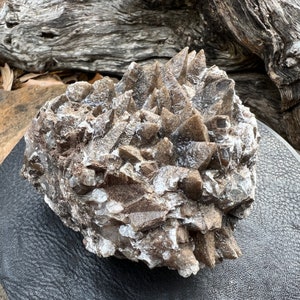 Natürlicher Schokoladenbrauner Hundszahn Calcit: Fluoreszierender oranger Kern, Mexiko