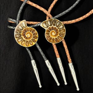 Couples Ammonite Fossil Bolo Ties, Matching Pair, Wedding, Friendship, Soul Mate, Anniversary - Fossil Collector Gift, Cowboy Wedding Gift