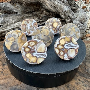 May include: Seven circular polished stones featuring a complex orbicular pattern with earthy tones of tan, cream, brown, and grey. Each stone displays distinct concentric rings and mottled inclusions, showcasing a smooth, rounded surface texture.