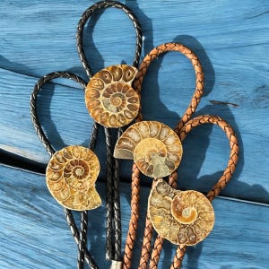 Ammonite Fossil Bolo Tie: Braided Leather Cowboy Lariat