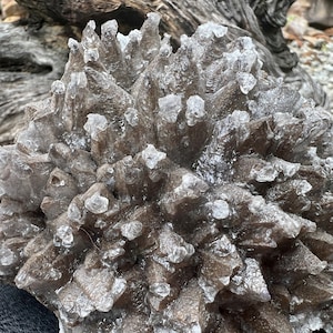 Riesiger Schokoladen Aragonit Hundszahn Calcit Cluster, fluoresziert Orange, 1,6 Pfund, Kristallsammlergeschenk, Felsensammlergeschenk DC20