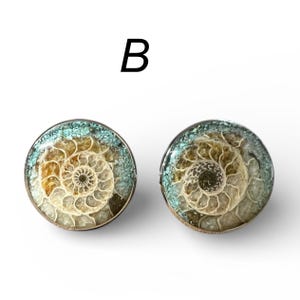 Gemelli con fossile di ammonite naturale e intarsio di turchese: montatura in acciaio inossidabile - regalo per geologi, collezionisti di rocce e fossili immagine 6