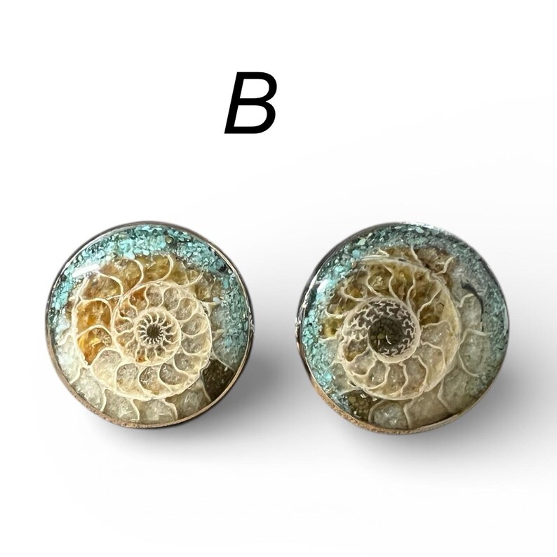 Gemelli con fossile di ammonite naturale e intarsio di turchese: montatura in acciaio inossidabile - regalo per geologi, collezionisti di rocce e fossili immagine 6