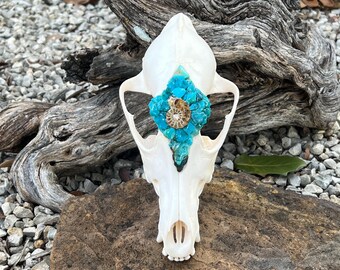 Coyote Skull Art: Turquoise and Ammonite Fossil Mosaic