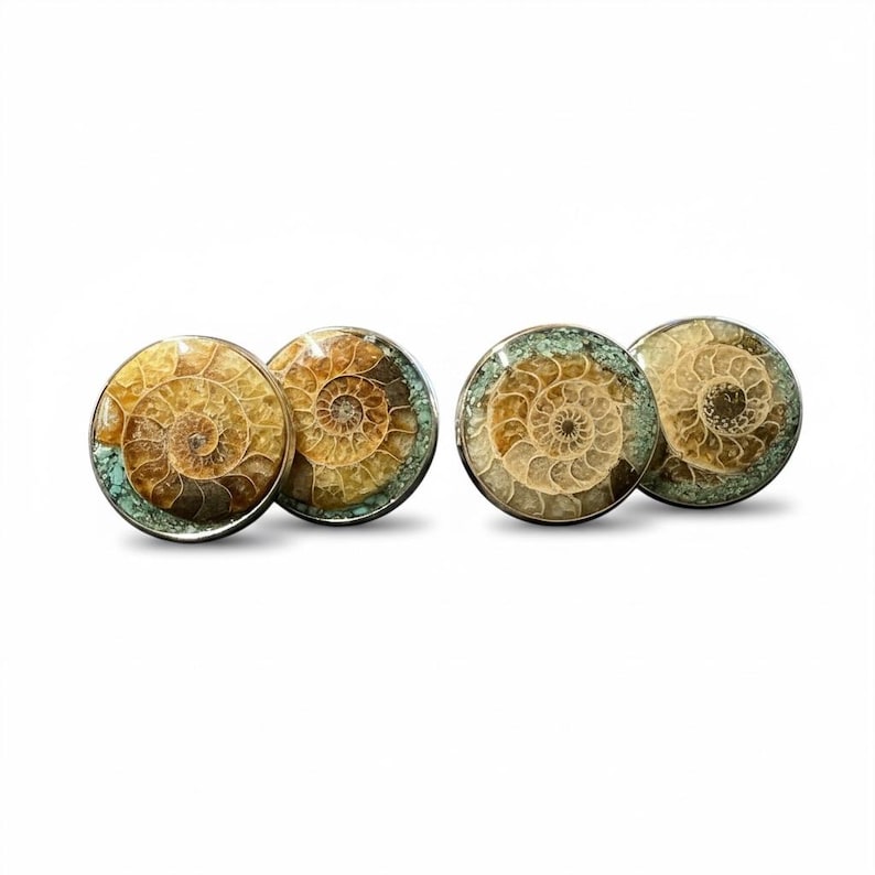 Gemelli con fossile di ammonite naturale e intarsio di turchese: montatura in acciaio inossidabile - regalo per geologi, collezionisti di rocce e fossili immagine 1