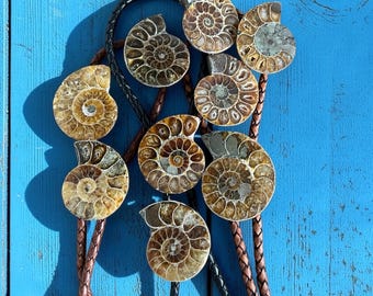 Corbatas de bolo con fósiles de amonita: regalo del oeste, boda de vaquero, atuendo de rodeo