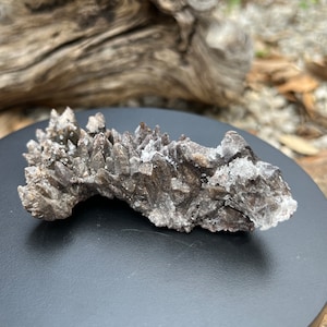 Schokoladenhafter Hundszahn Calcit: Fluoreszierendes Mineral, Mexiko