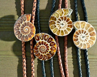 Ammonite Fossil Bolo Ties - Singles or Matching Pairs - Medium 36mm to 40mm - Perfect for Cowboy Weddings, Western Dances, Rodeo Attire