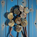 Ammonite Fossil Bolo Ties: Western Gift, Cowboy Wedding, Rodeo Attire