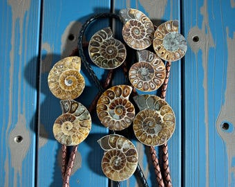 Corbatas de bolo con fósiles de amonita: regalo del oeste, boda de vaquero, atuendo de rodeo