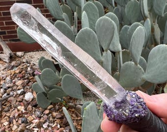 Amethyst Crystal Point Wand: Springbok Horn Altar Tool