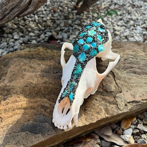 Coyote Skull Art: Turquoise and Obsidian Mosaic