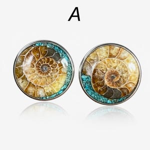 Gemelli con fossile di ammonite naturale e intarsio di turchese: montatura in acciaio inossidabile - regalo per geologi, collezionisti di rocce e fossili immagine 5