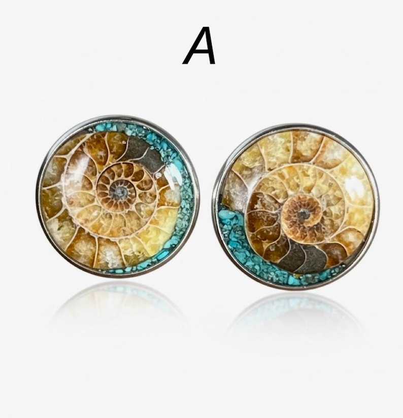 Gemelli con fossile di ammonite naturale e intarsio di turchese: montatura in acciaio inossidabile - regalo per geologi, collezionisti di rocce e fossili immagine 5