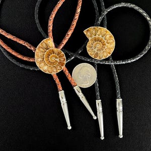 Couples Ammonite Fossil Bolo Ties, Matching Pair, Wedding, Friendship, Soul Mate, Anniversary - Fossil Collector Gift, Cowboy Wedding Gift