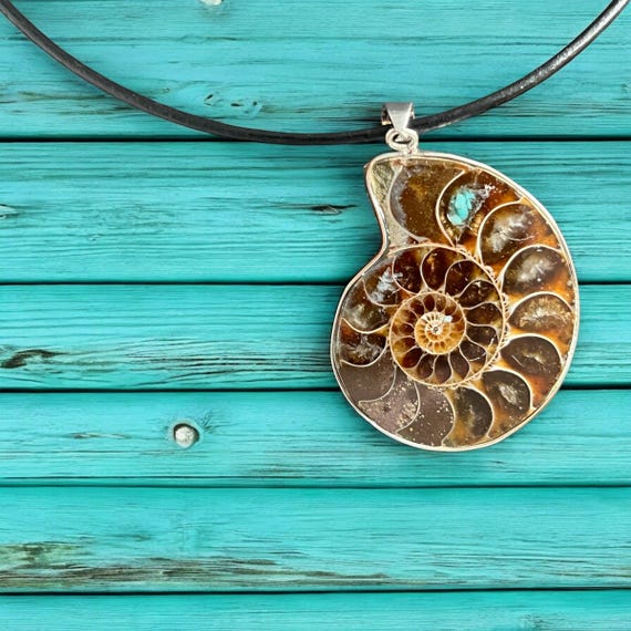 Turquoise Inlaid Ammonite Fossil Necklace: Natural History Pendant