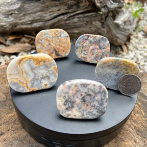 May include: Five polished agate stones with various patterns of white, grey, brown, and yellow. The stones are oval shaped and arranged on a black surface.