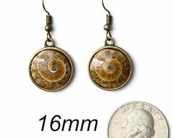 Ammonite Fossil Earrings, 16mm Antique Brass Setting