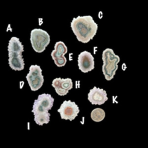 May include: A collection of eleven amethyst geodes, each with unique patterns and colors, including shades of purple, white, and green. A U.S. quarter is included for size reference. The geodes are displayed against a black background.
