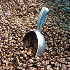 May include: A metal scoop filled with roasted coffee beans. The scoop is silver and has a curved handle. The coffee beans are a mix of light and dark brown, filling the frame. The image is a close-up, highlighting the texture of the beans.