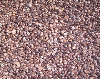 Brazilian Santos Fresh Roasted Coffee Beans Java Jane's
