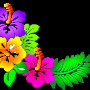 May include: A vibrant floral arrangement featuring three hibiscus flowers in purple, yellow, and pink, with orange stamens. Green leaves and a black background complete the tropical design. The flowers are rendered in a 3D style.