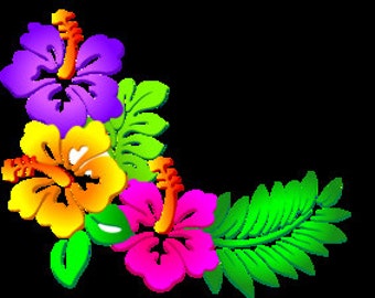 Macadamia Nut Flavored Coffee Fresh Roasted Coffee Beans Java Jane's