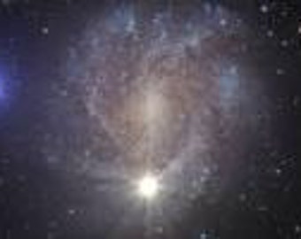 Milky Wayy Flavored Coffee Fresh Roasted Coffee Beans Java Janes 2 oz - 16 oz bags.