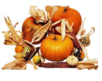 Pumpkin Spice Flavored Coffee Fresh Roasted Coffee Beans Java Jane's