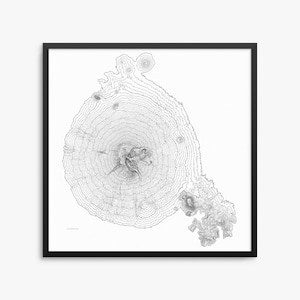 La Malinche, La Malinche Poster, Malinche Map Art, Malinche Contour Map, Malinche Topo, Malinche MX, Mexico, Malintzin, Matlalcueye, Mexico