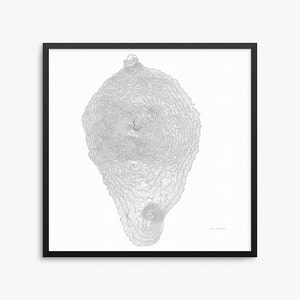 Mount Bachelor Poster, Mount Bachelor Oregon, Mount Bachelor Map Art, Mount Bachelor Contour Map, Decor Home, Office Decor