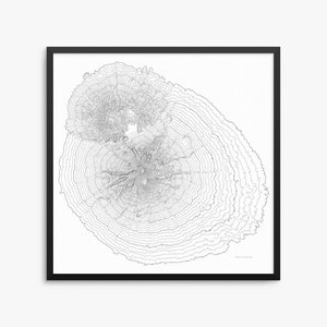 Mount Taranaki poster, Mount Taranaki Nieuw-Zeeland, Mount Taranaki kaartkunst, Mount Taranaki contourkaart, Decor van het huis, kantoordecor, Mt Taranaki