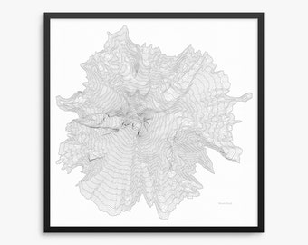 May include: A black framed print featuring a detailed topographic map of Mount Hood. The map is rendered in grayscale, showcasing contour lines that depict the mountain's elevation and terrain. The name "Mount Hood" is printed in the lower right corner.
