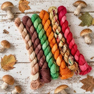 MUSHROOM HUNTING Mini Strang Set mit 6 Mini Strängen in Ton und Brauntönen!