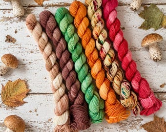 MUSHROOM HUNTING Mini Skein Set of 6 Tonal and Speckled Mini Skeins!