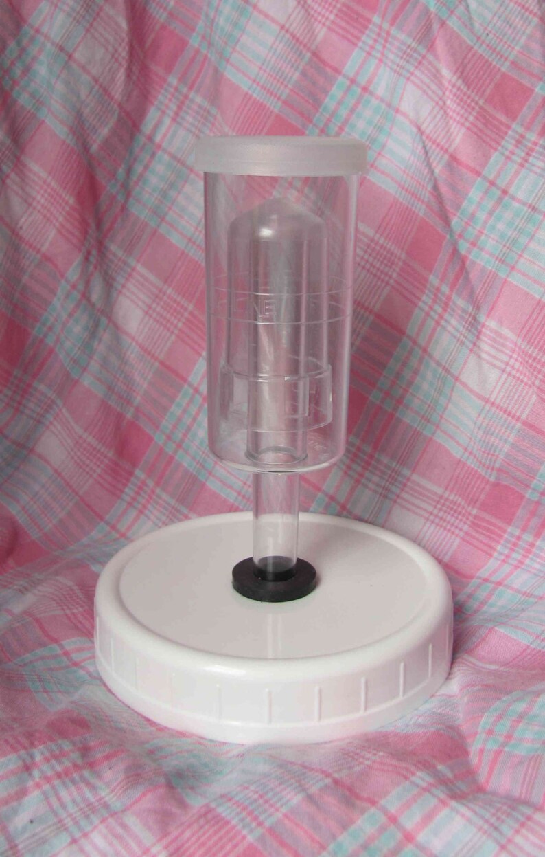 Foolproof Fermentation 3 Airlock Lids for Mason Jars Etsy